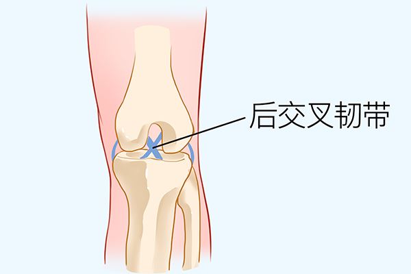 为什么用了妇科药塞的越来越痒了