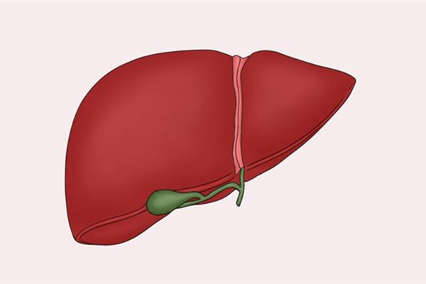 腰椎间盘突出能顺产吗