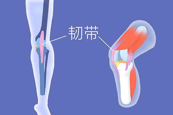 怎么检查内分泌是否正常