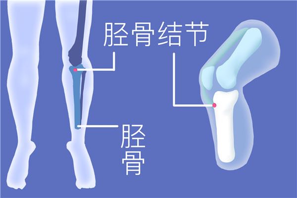 鼻内镜检查过程视频