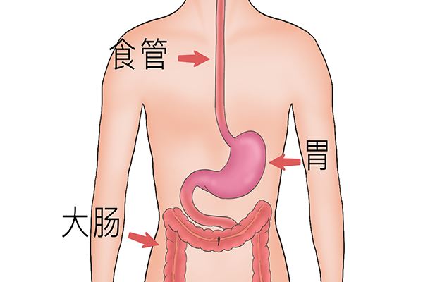 嘎日迪五味丸主要成分有哪些中药