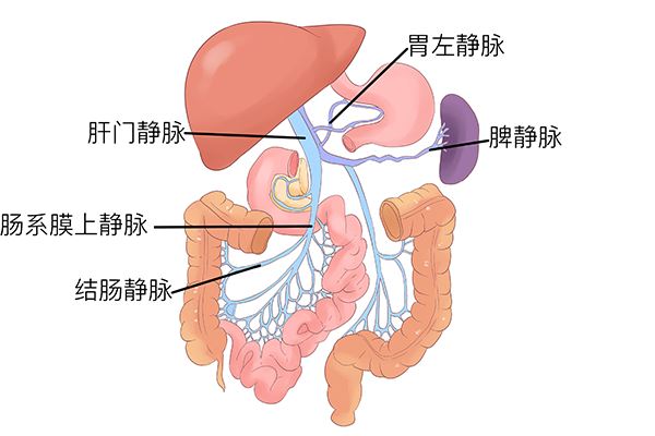 鼻炎会传染吗