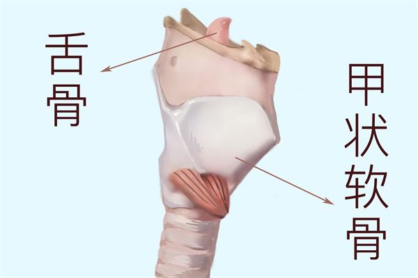 腰椎间盘突出能顺产吗