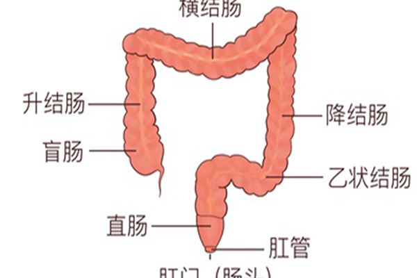 痔疮食疗吃什么好得快