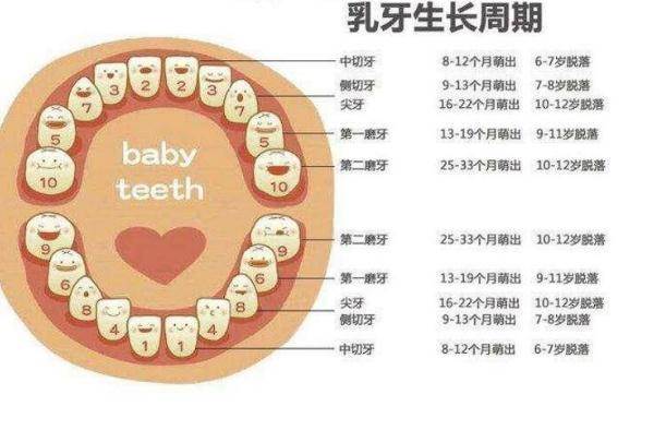 钼靶到底有多痛？