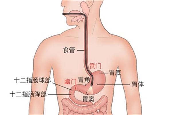 小孩鼻炎的最佳治疗方法是什么