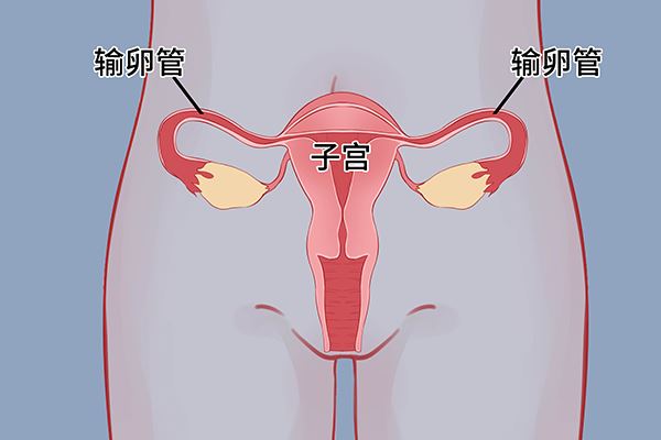 腰椎间盘突出怎么冶