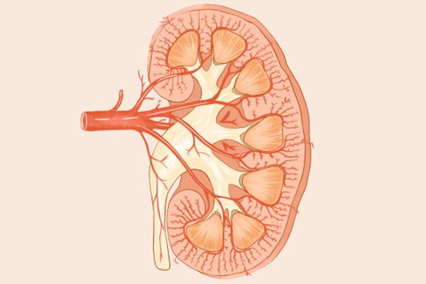 鼻内镜检查过程视频