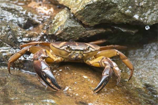 男性性功能锻炼11种方法，闭目冥想都能提高性功能