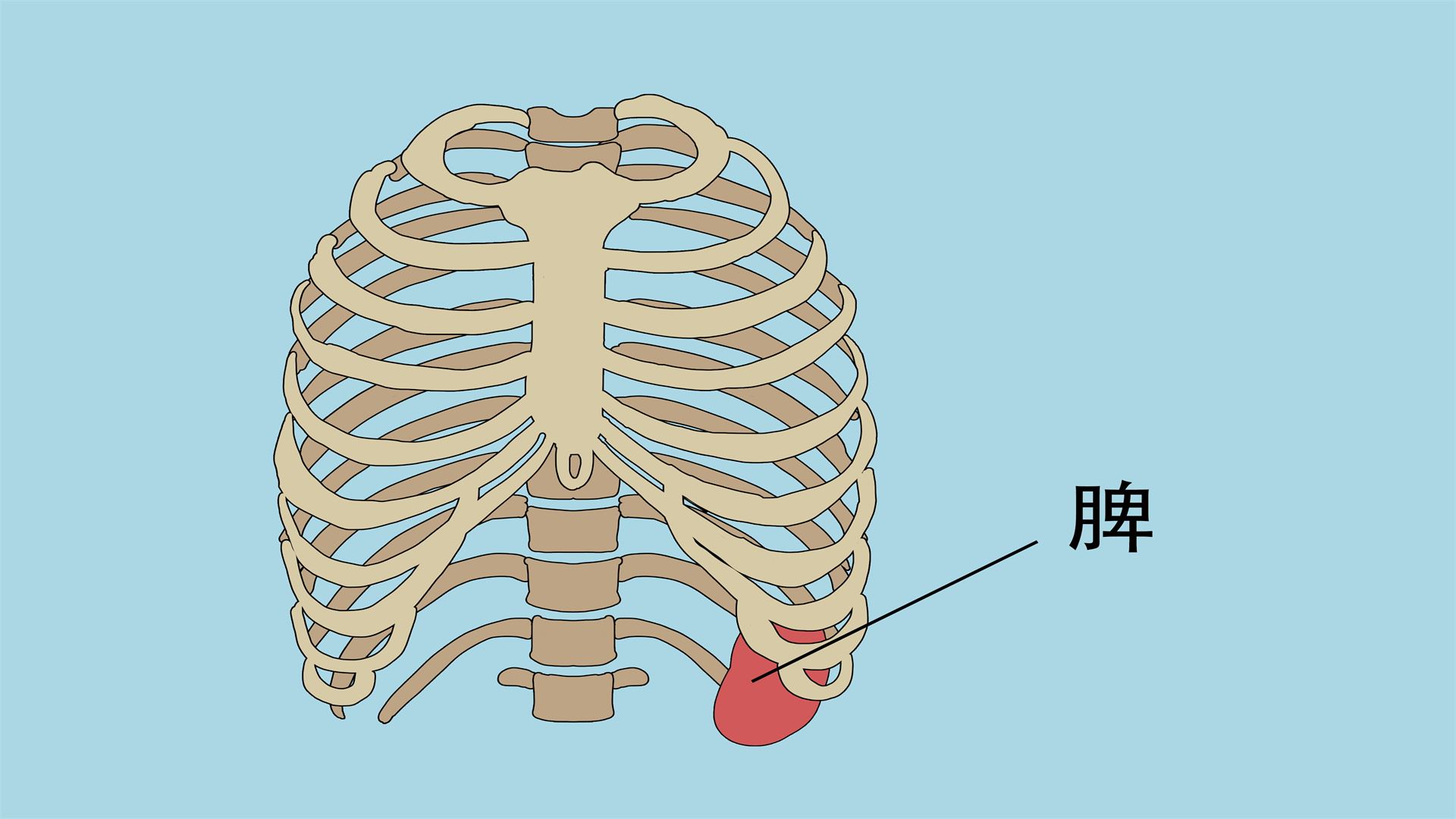 乙肝45阳性会自愈吗