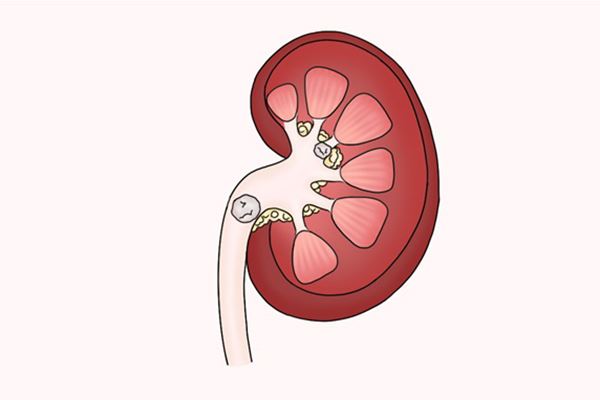 鼻内镜检查过程视频