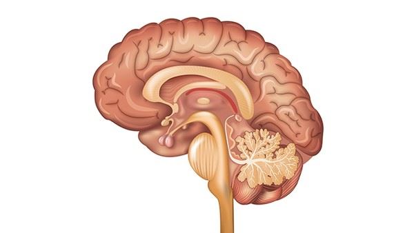 腰椎间盘突出能顺产吗