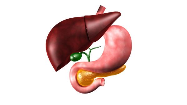 儿童日常饮食的11个提示