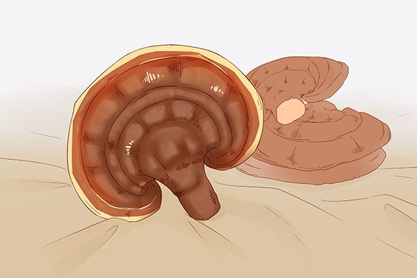 鼻内镜检查过程视频