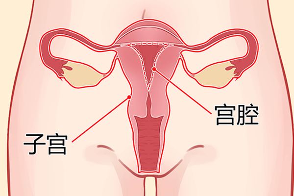 鼻内镜检查过程视频